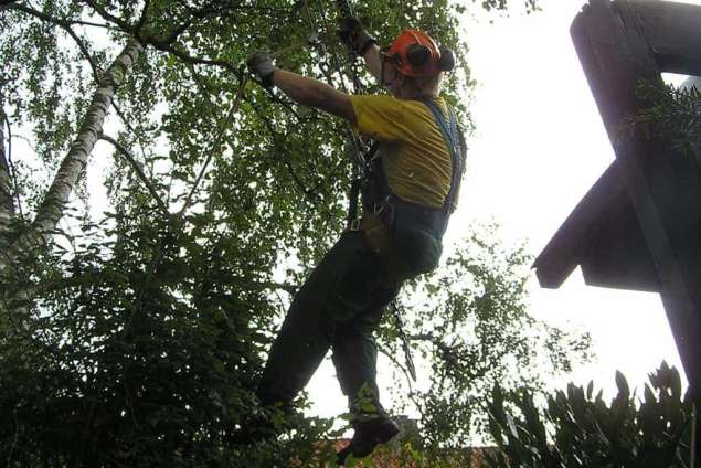 klimmend bomen rooien met telescoop kraan hoe breed stempeld een telescoopkraan af